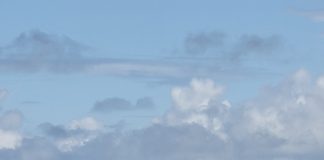 Fiji’s cabinet endorses national fisheries policy 2024 – 2028