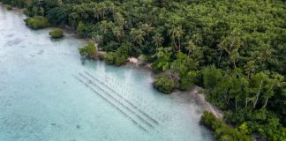 Pacific Island States propose crime of ecocide