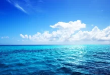 GEF approves first funding related to BBNJ Agreement