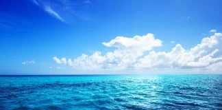 GEF approves first funding related to BBNJ Agreement