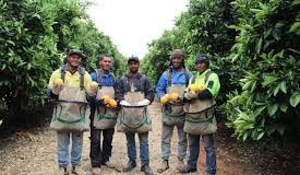 Thousands of migrant workers in Australia ‘trapped in slavery’