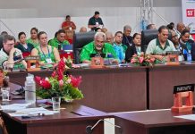 Pacific Forum Leaders urge targeted assistance to support Smaller Island States priorities