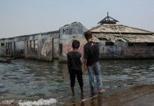 Stop global warming to turn the tide on sea-level rise: UN Assembly President