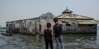 Stop global warming to turn the tide on sea-level rise: UN Assembly President