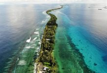 Bringing COP31 Down Under will be an unprecedented opportunity