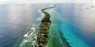 Bringing COP31 Down Under will be an unprecedented opportunity