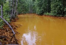 Mining’s Silent Wave: The hidden impact on marine resources and coastal communities