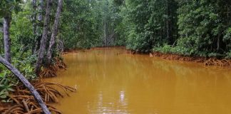 Mining’s Silent Wave: The hidden impact on marine resources and coastal communities