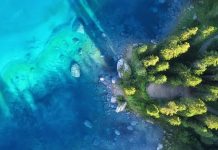 COP16 confronts “huge” challenge of protecting 30 percent of world’s land and sea