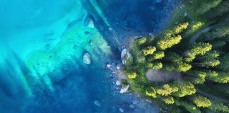 COP16 confronts “huge” challenge of protecting 30 percent of world’s land and sea