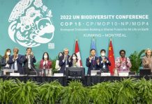 CBD COP16 a critical step to manage and preserve our rich island and marine biodiversity