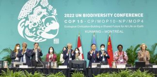 CBD COP16 a critical step to manage and preserve our rich island and marine biodiversity