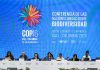 The latest UN biodiversity summit opens in Colombia