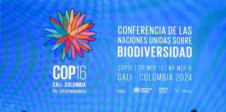 The latest UN biodiversity summit opens in Colombia