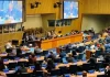 French Pacific send delegations to UN decolonisation committee