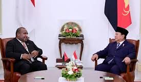 Indonesia to offer amnesty for West Papuans: PNG PM Marape