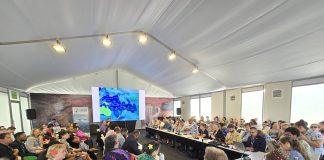 Pacific nations spotlight Biodiversity successes and challenges at CBD COP16
