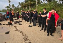 Navy ship may have lost power before running aground, NZ Defence Minister Collins says