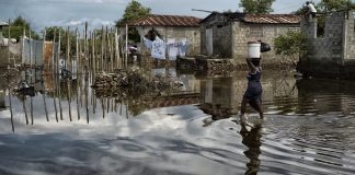 Adaptation Fund head laments “puzzling” lack of pledges at COP29