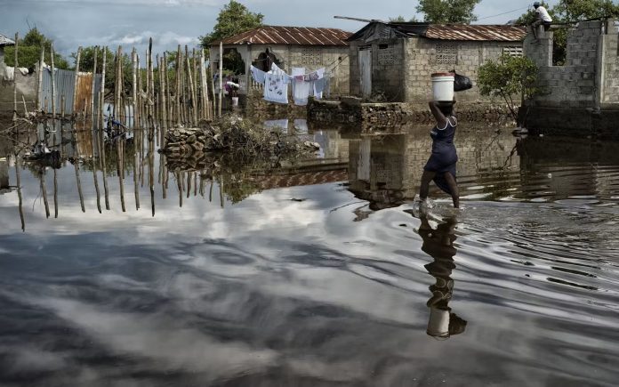Adaptation Fund head laments “puzzling” lack of pledges at COP29