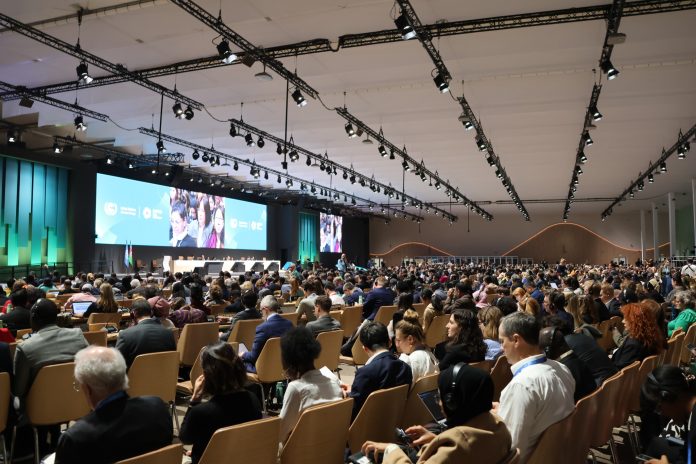 The Role of Pacific Youth at COP29: Voices of Hope and Innovation