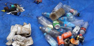Pacific Islands push for emissions and releases to be in new Plastics Treaty