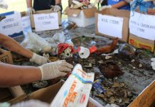40 by 40: Pacific Islands target for reduction of plastic production
