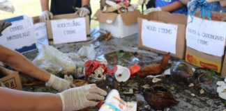 40 by 40: Pacific Islands target for reduction of plastic production