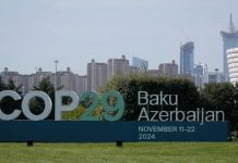 COP29 countries endorse global carbon market framework