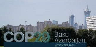 COP29 countries endorse global carbon market framework