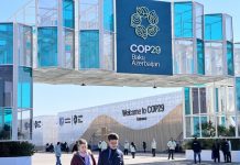 Trump, 1.5 C breach weigh on UN COP climate finance talks