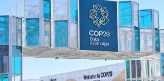 Trump, 1.5 C breach weigh on UN COP climate finance talks