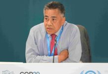 Small Islands negotiate their survival at COP29
