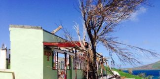 Extreme weather has already cost vulnerable Island nations $141 billion