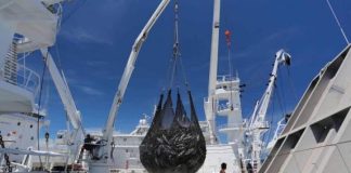 WCPFC urged to adopt stricter oversight and conservation measures