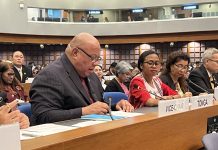 Lord Vaea’s Call for action on gender equality at UN ESCAP Beijing+30 Review