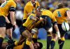 Australia want Indigenous-Pasifika team to face Lions in place of Rebels