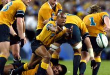 Australia want Indigenous-Pasifika team to face Lions in place of Rebels