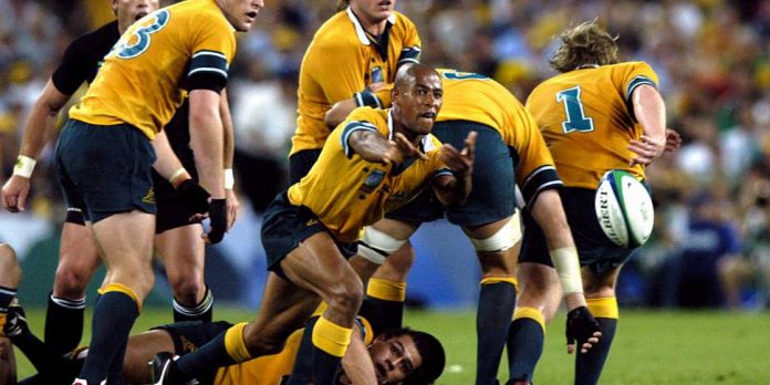 Australia want Indigenous-Pasifika team to face Lions in place of Rebels