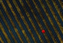 COP29: ‘Now is the time to fast-track, not backtrack’ on the path to net-zero