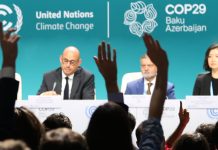 COP29 gets boost from Rio as G20 leaders back scaling up climate finance from ‘billions to trillions’