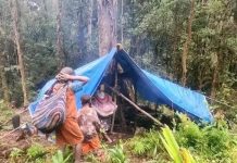 Mass displacement in West Papua reveals Prabowo’s brutality: Wenda
