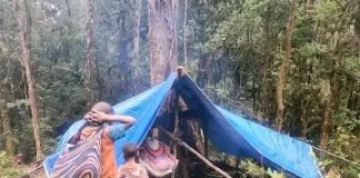 Mass displacement in West Papua reveals Prabowo’s brutality: Wenda