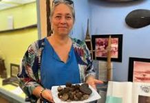 Mining the Pacific – future proofing or fool’s gold?