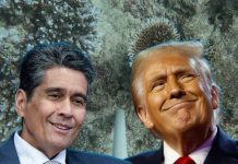 Palau’s president invites Donald Trump to ‘visit the Pacific’ to see climate crisis impacts