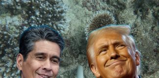 Palau’s president invites Donald Trump to ‘visit the Pacific’ to see climate crisis impacts