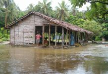 Climate crisis demands urgent mitigation action and finance for community-led action grounded in Indigenous knowledge, says expert