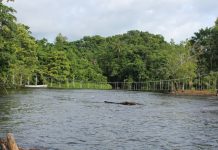 The race to save historic bridge