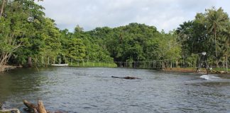 The race to save historic bridge