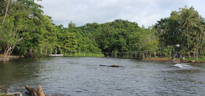 The race to save historic bridge